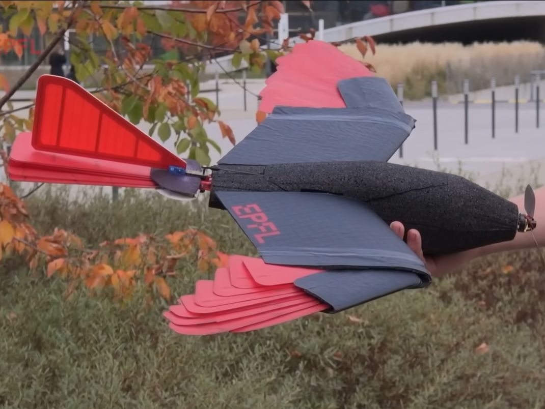 The EPFL LisRaptor with adjustable wings and tail.