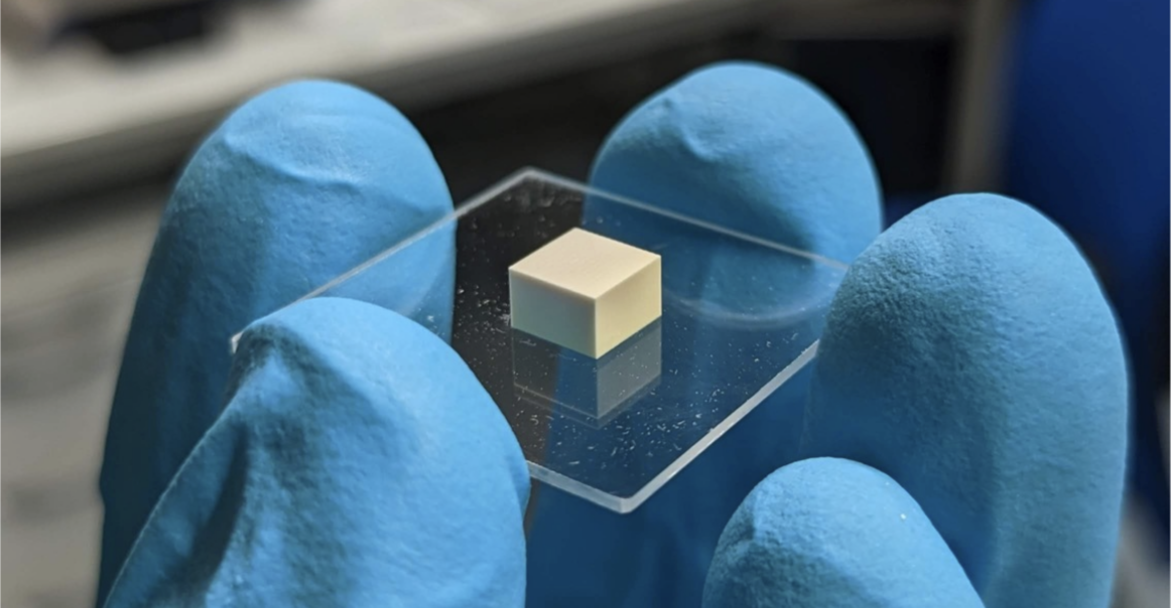 A blue-gloved hand holds a glass plate with a small off-white rectangular prism approximately one quarter the area of a fingernail in cross-section.