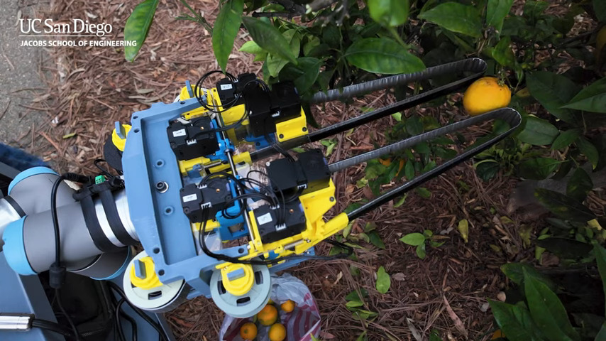 The GRIP-tape robot picking a lemon