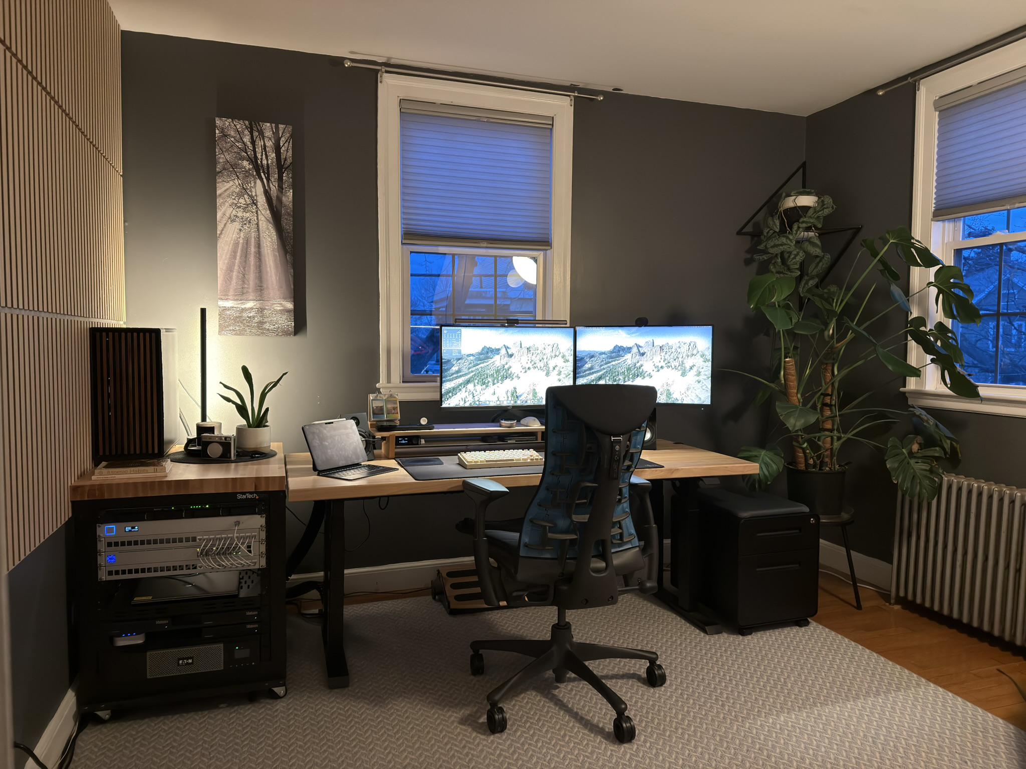 A nicely lit setup in front of a small window, with a large plant in the corner.