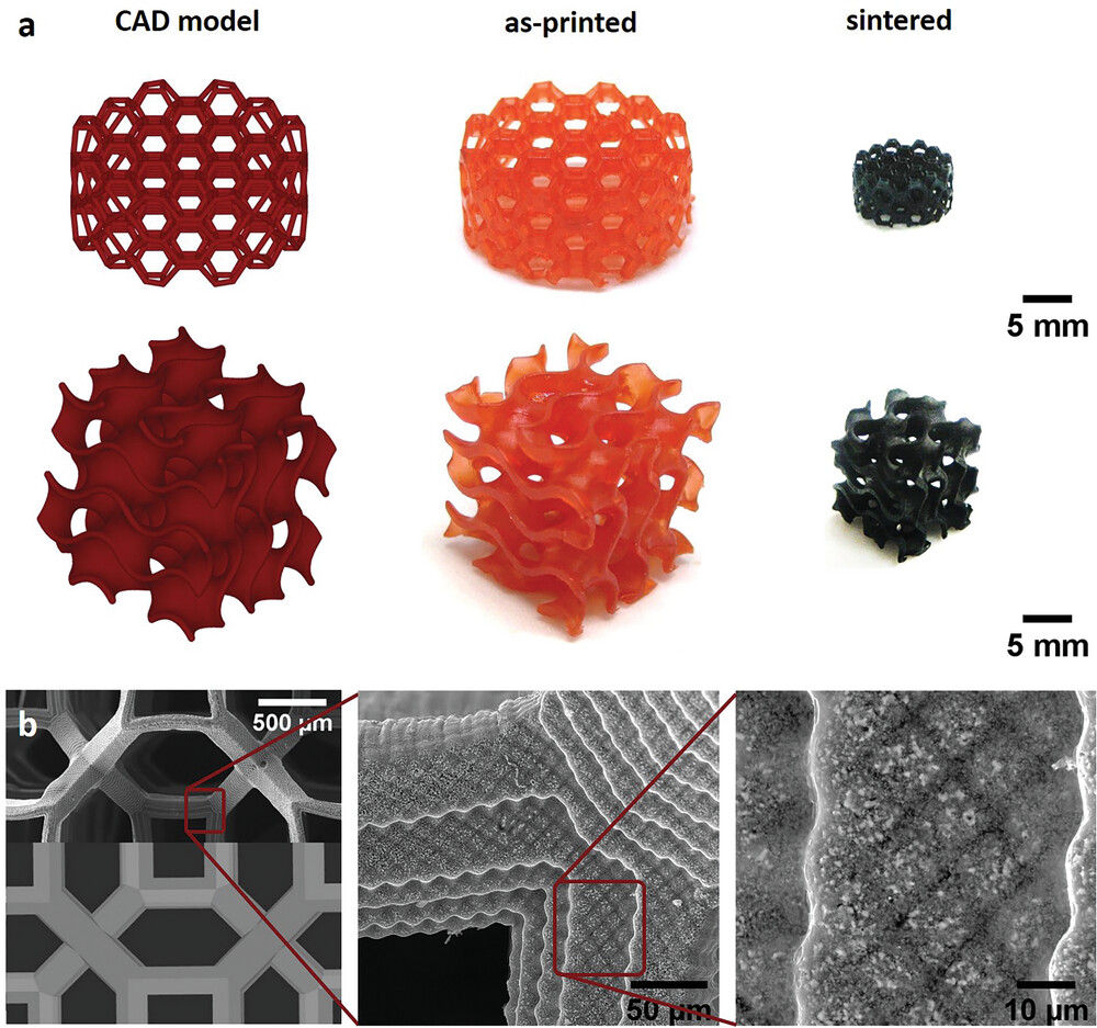 Fabrication of uranium-based components via DLP. (Zanini et al., Advanced Functional Materials, 2024)