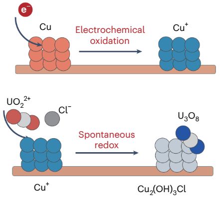 The anode chemical reaction to extract uranium. (Credit: Wang et al., Nature Sustainability, 2025)