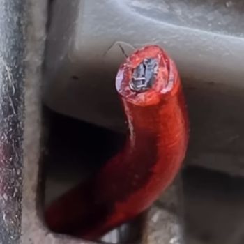 The Stronghero 3D hybrid PLA PETG filament, with visible PETG core. (Credit: My Tech Fun, YouTube)