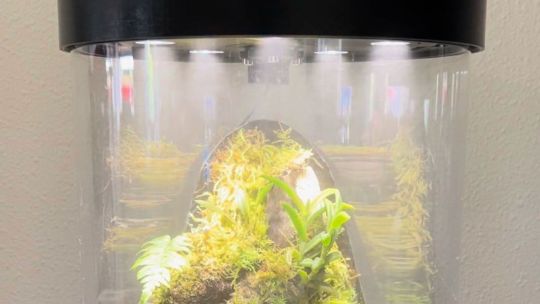 A clear acrylic cylinder is shown, inside of which plants are visible. There is mist inside the tube, and LEDs light it from above. A black plastic cap to the tube is visible.