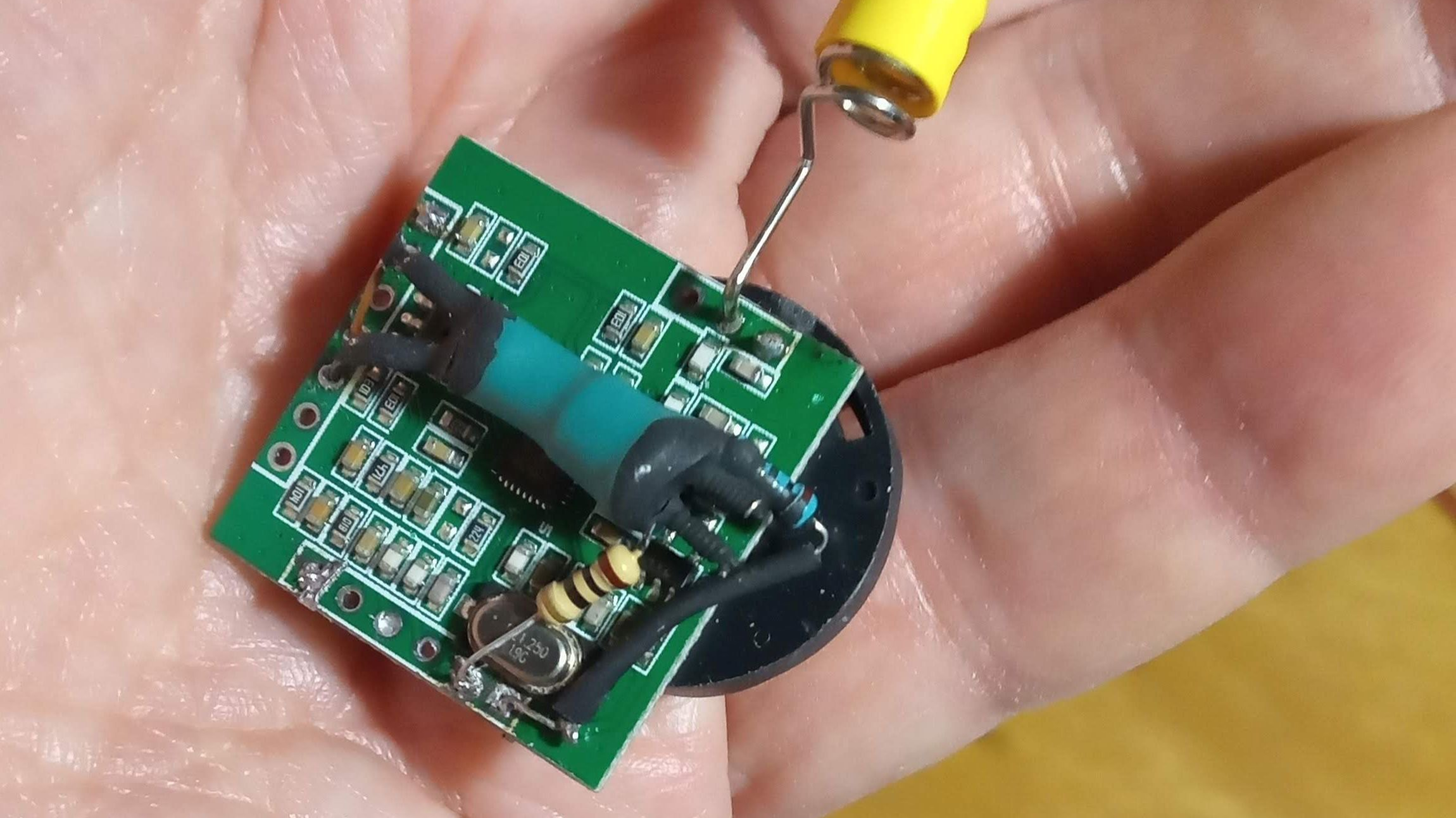 A hand holding the foxhunt transmitter