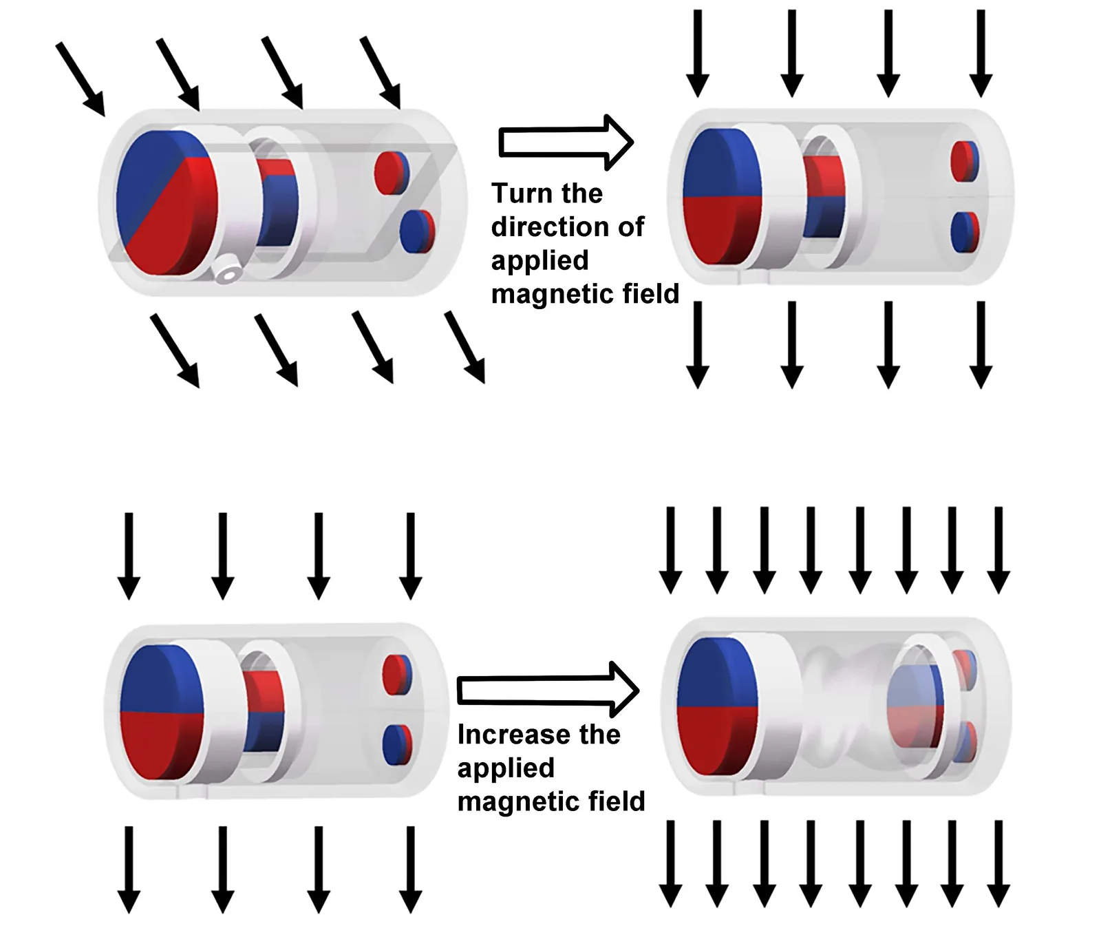 capsule shown with magnetic fields represented with arrows