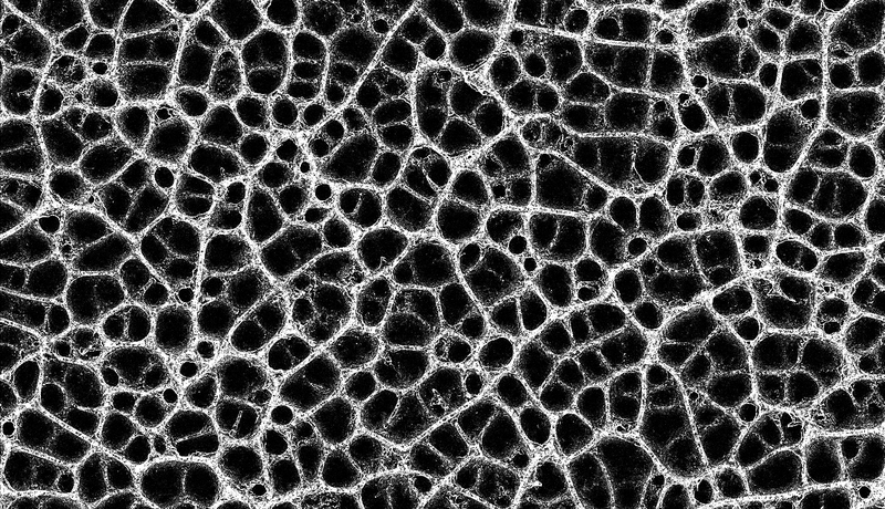 Cool looking picture created with lots of particles, but black and white