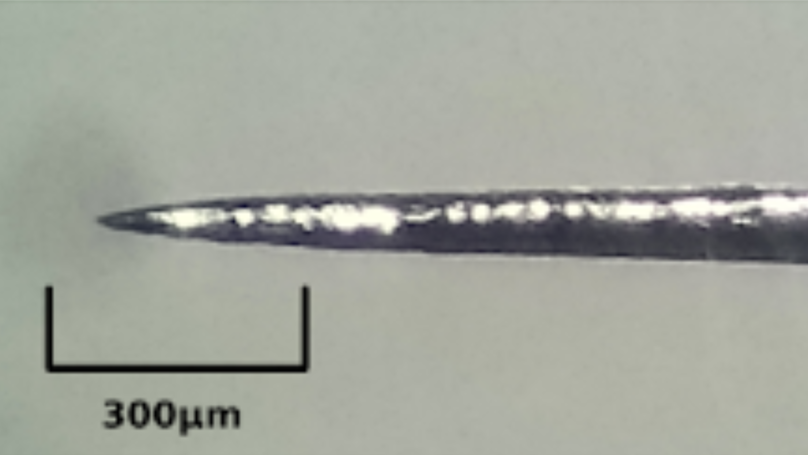 A metal needle tip comes to a point against a white background. A scale bar in the lower left shows a 300 micrometer length.