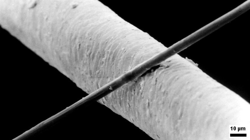 A 6 μm diameter carbon filament, compared to 50 μm diameter human hair. (Source: Wikimedia)