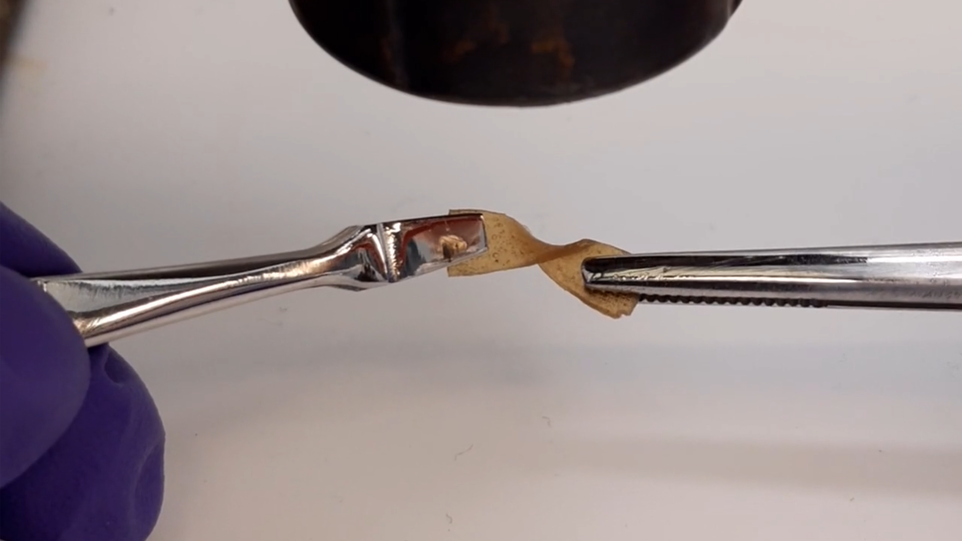 A small piece of brown plastic is held in two pairs of tweezers under a heat gun, and is being twisted.