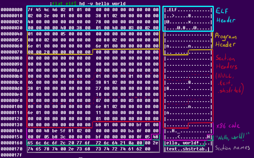 A hex dump of the first iteration of the small ELF file